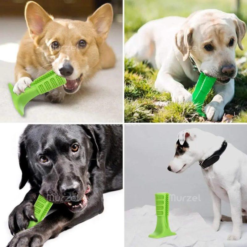 Играчка за куче, дентална четка за почистване на зъби - Dog toothbrush » Murzel.bg Играчка за куче, дентална четка за почистване на зъби