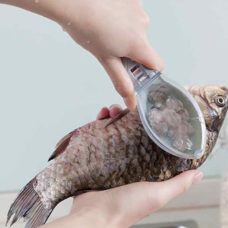 Уред с капак за почистване на люспи от риба - FishScale » Murzel.bg Уред с капак за почистване на люспи от риба - FishScale